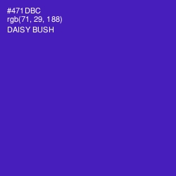 #471DBC - Daisy Bush Color Image